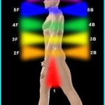 chakra dan aura