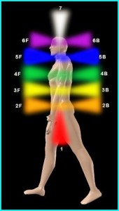 chakra dan aura